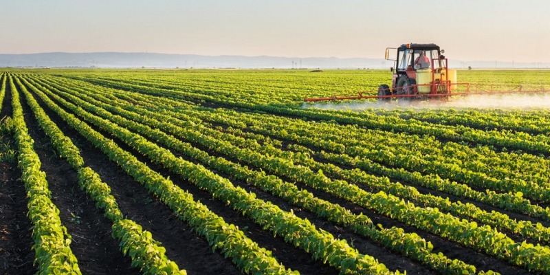 harvested farmland